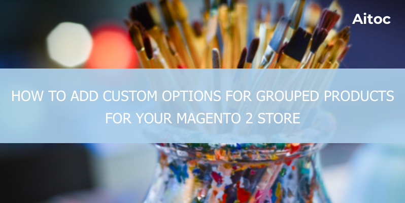 Magento 2 Custom Options